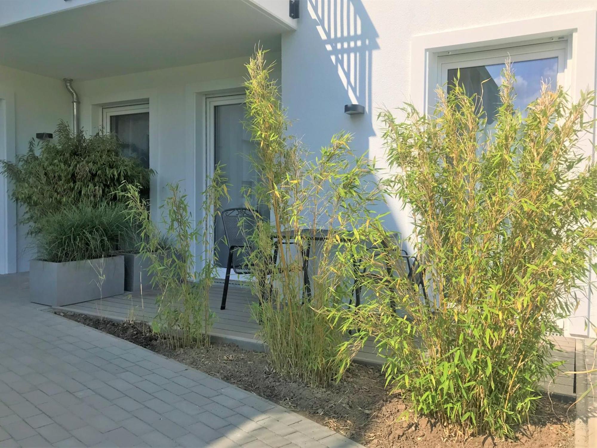 App 6, Strandresidenz Duenenperle Kuehlungsborn Exterior photo